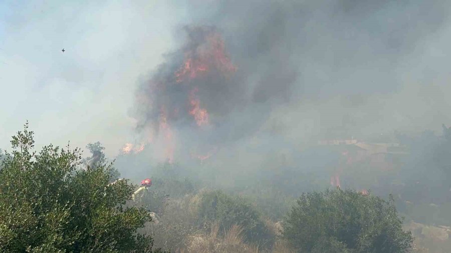 Mahallede Çıkan Yangın Paniğe Neden Oldu: Vatandaşlar Ve İtfaiye Alevlere Karşı Mücadele Etti