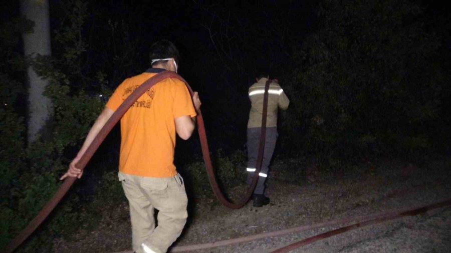 Manavgat’taki Yangında 8 Dönümlük Tarım Arazisi Zarar Gördü