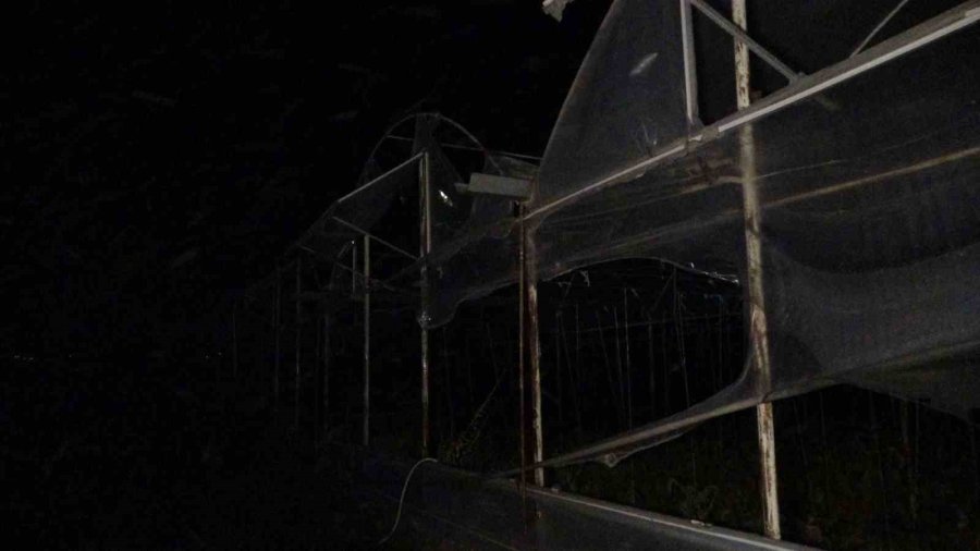 Manavgat’taki Yangında 8 Dönümlük Tarım Arazisi Zarar Gördü