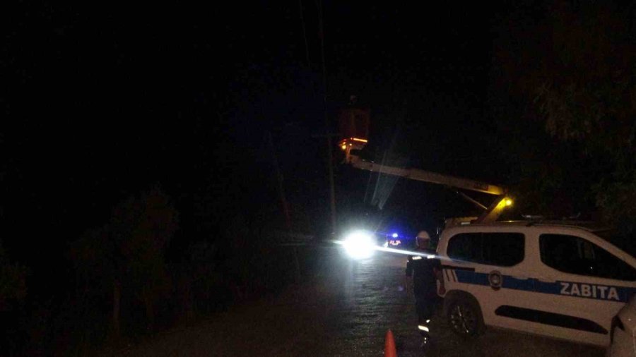 Manavgat’taki Yangında 8 Dönümlük Tarım Arazisi Zarar Gördü