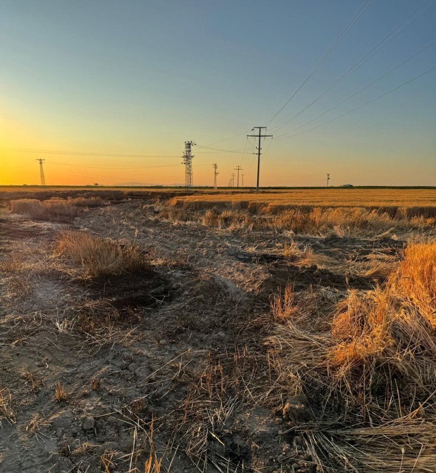 Karapınar’da Buğday Tarlasında Yangın