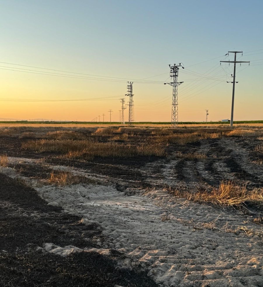 Karapınar’da Buğday Tarlasında Yangın