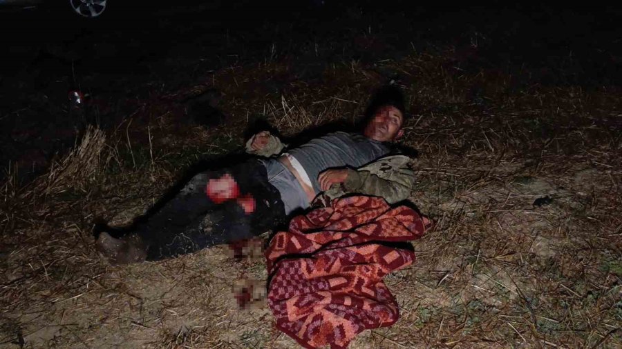 Hayvan Parkından Kaçan Aslan Fıstık Bahçesinde Uyuyan Çiftçiye Saldırdı