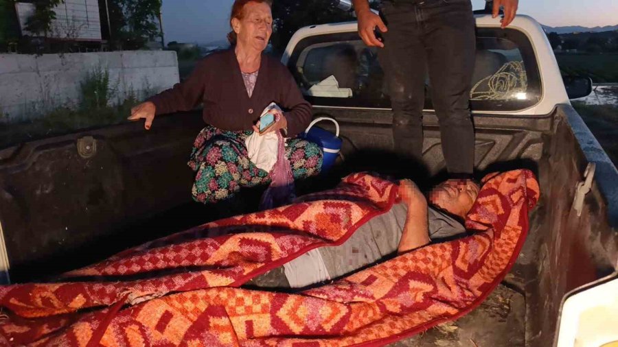 Hayvan Parkından Kaçan Aslan Fıstık Bahçesinde Uyuyan Çiftçiye Saldırdı