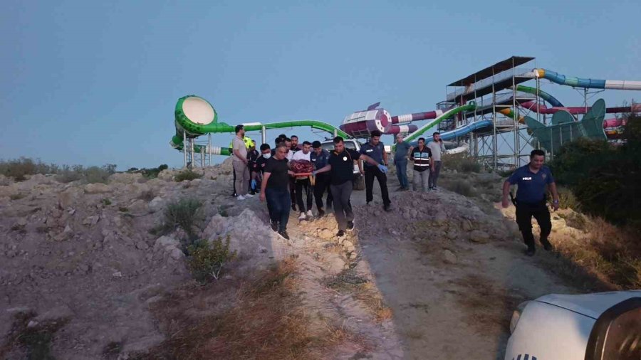 Hayvan Parkından Kaçan Aslan Fıstık Bahçesinde Uyuyan Çiftçiye Saldırdı