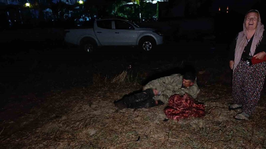 Hayvan Parkından Kaçan Aslan Fıstık Bahçesinde Uyuyan Çiftçiye Saldırdı