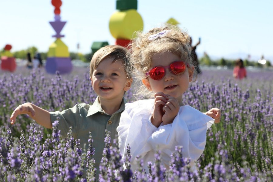 Türkiye’nin En Büyük Lavanta Bahçesi’nde Festival Coşkusu