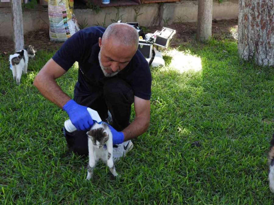 Kepez’in Can Dostları Emin Ellerde