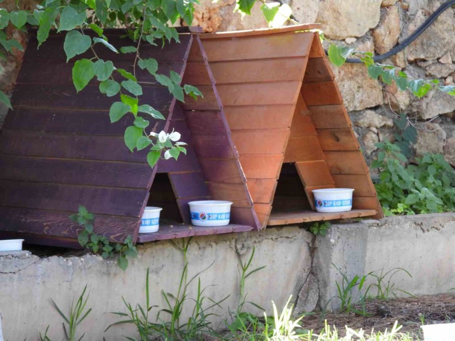 Kepez’in Can Dostları Emin Ellerde