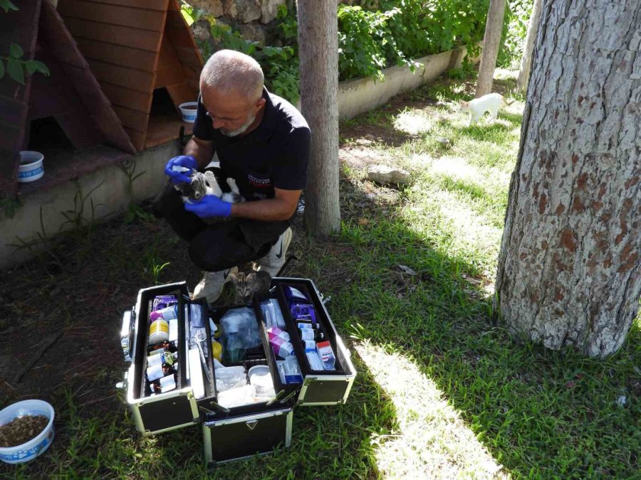 Kepez’in Can Dostları Emin Ellerde