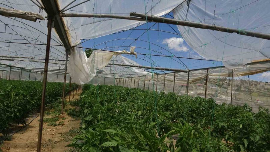 Mersin’de Rüzgar Seralarda Hasara Yol Açtı