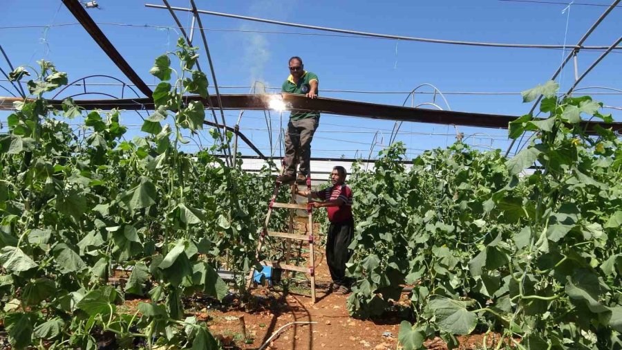 Mersin’de Rüzgar Seralarda Hasara Yol Açtı