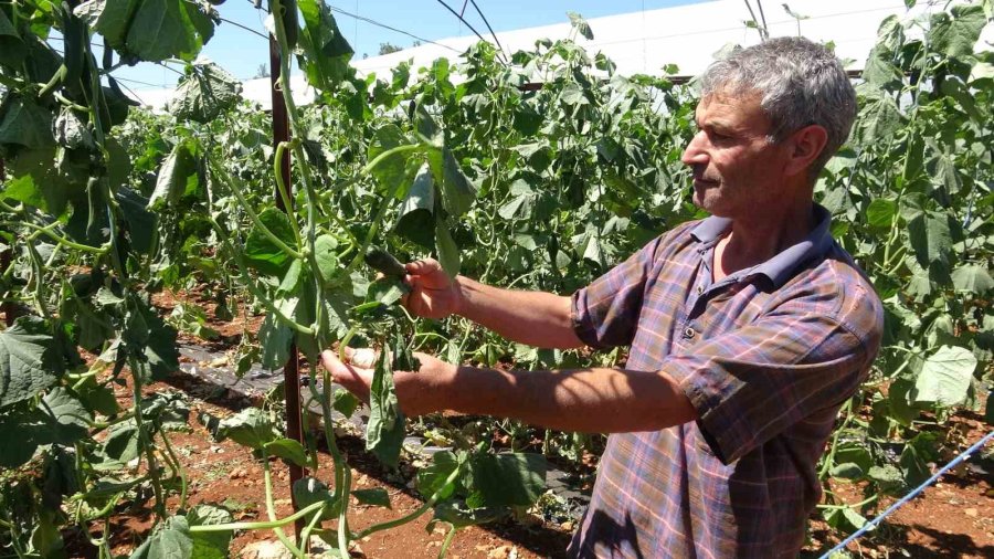 Mersin’de Rüzgar Seralarda Hasara Yol Açtı