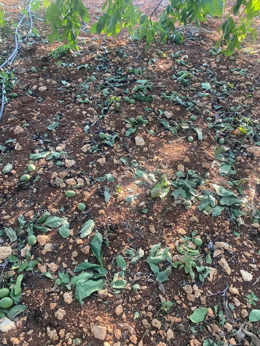 Mersin’de Rüzgar Seralarda Hasara Yol Açtı