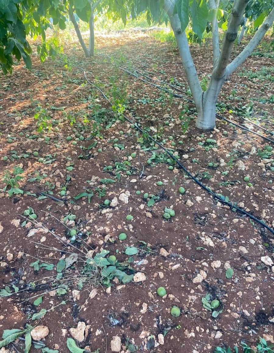 Mersin’de Rüzgar Seralarda Hasara Yol Açtı