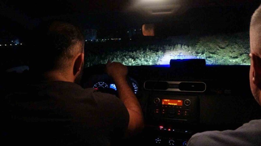 Antalya Valiliği’nden Hayvanat Bahçesinden Kaçan Aslana İlişkin Açıklama