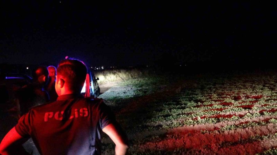 Antalya Valiliği’nden Hayvanat Bahçesinden Kaçan Aslana İlişkin Açıklama