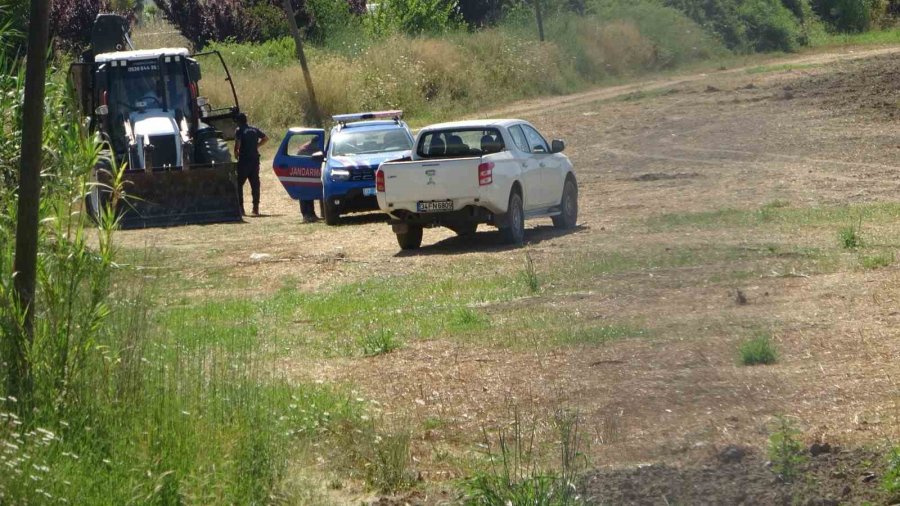 Antalya Valiliği’nden Hayvanat Bahçesinden Kaçan Aslana İlişkin Açıklama