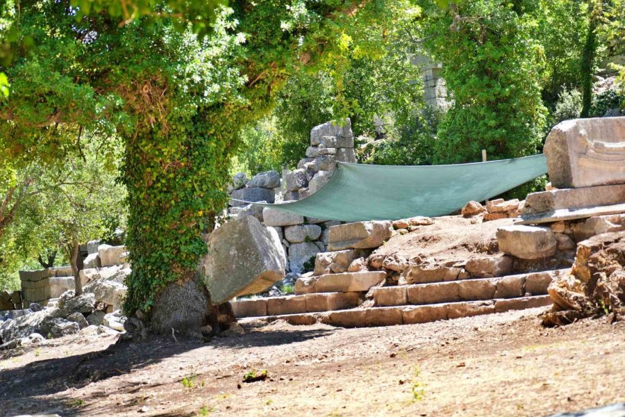 Meşe Ağacı Lahit Parçasını Havaya Kaldırdı: Termessos’ta Doğa Tarihe Sahip Çıktı