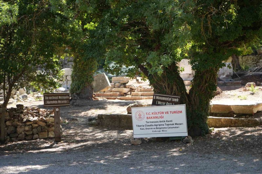 Meşe Ağacı Lahit Parçasını Havaya Kaldırdı: Termessos’ta Doğa Tarihe Sahip Çıktı