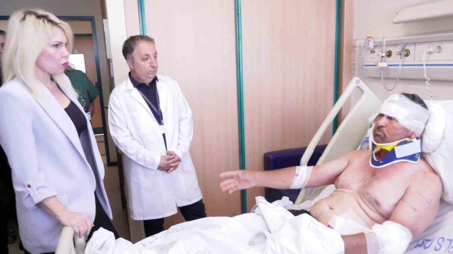 Aslan Saldırısına Uğrayan Adam: "boğuştuk"