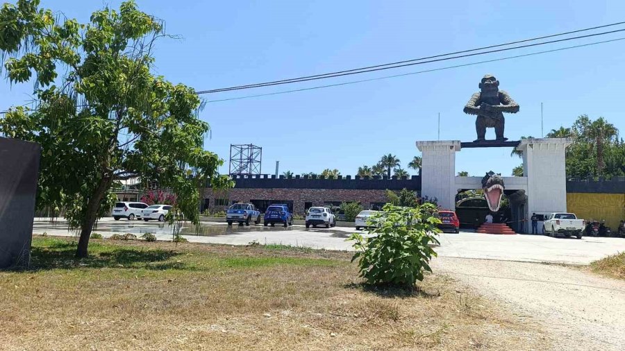 Aslanın Kaçtığı Hayvanat Bahçesi Yapılacak Denetime Kadar Mühürlendi