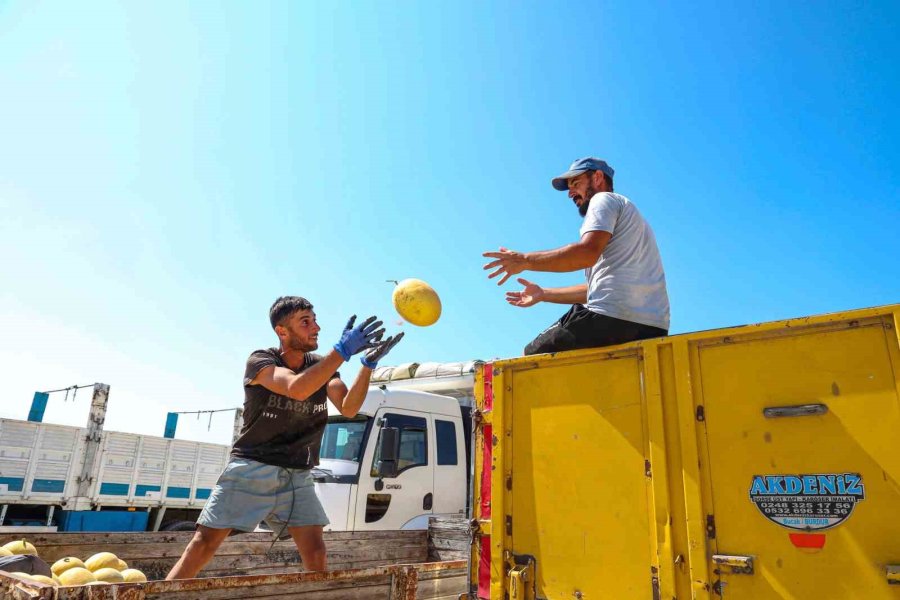 Manavgat’ın Yeni Toptancı Hali Hizmete Hazır