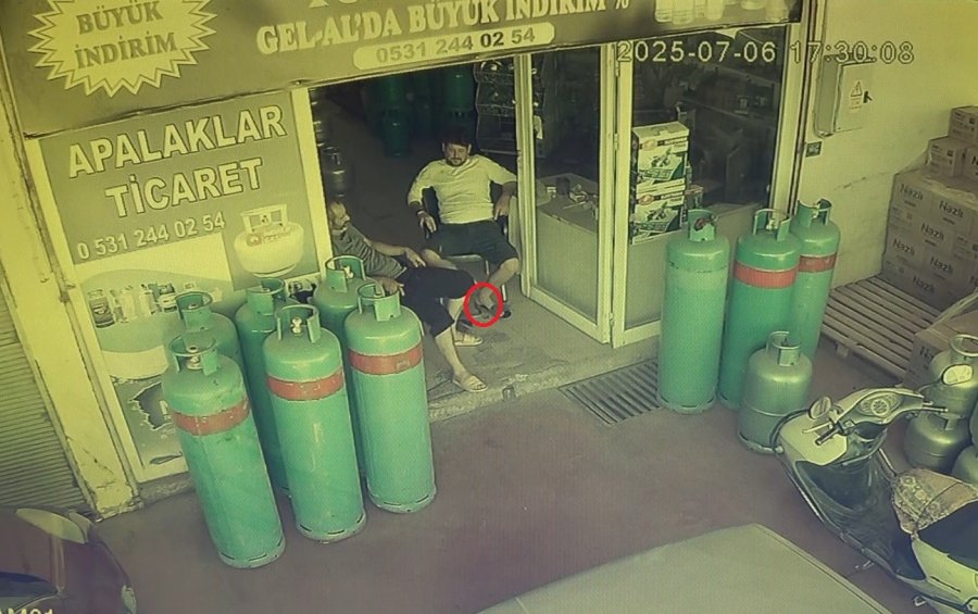 Dükkana Giren Yılan, Esnafı Sokağa Fırlattı