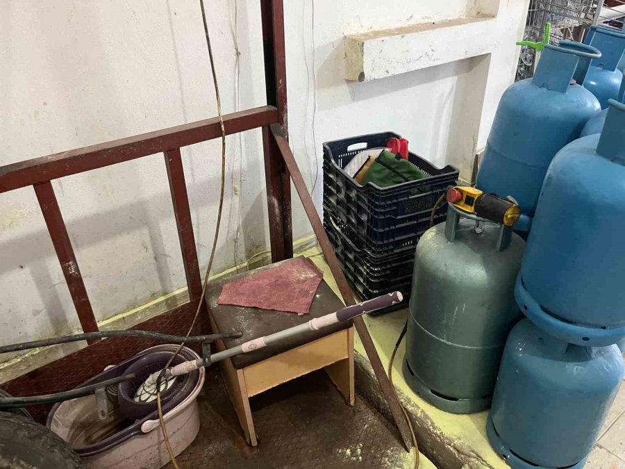 Dükkana Giren Yılan, Esnafı Sokağa Fırlattı