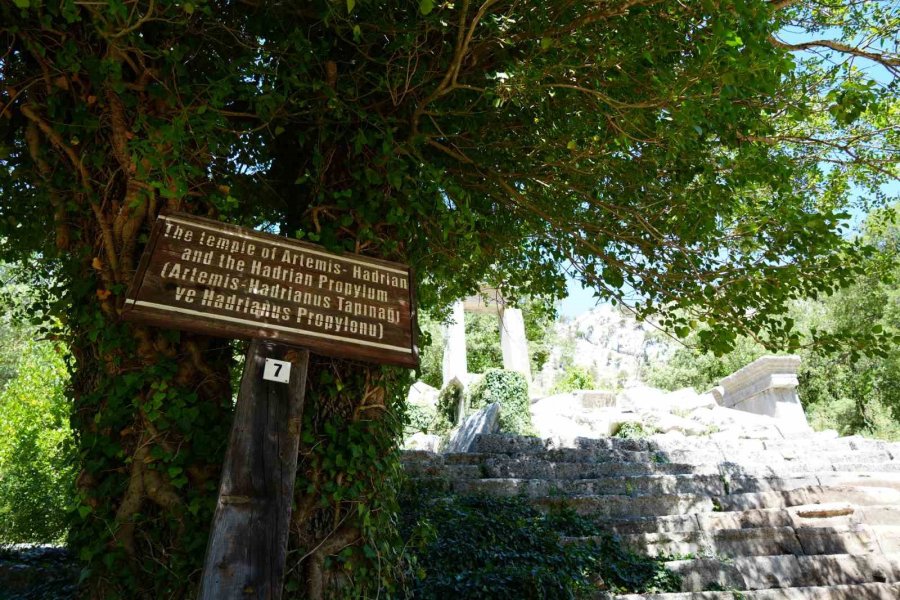 Termessos’ta Tarih Gün Yüzüne Çıkıyor: Antik Kentte İlk Kazı Başladı