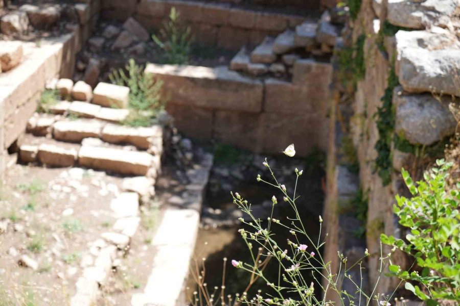 Termessos’ta Tarih Gün Yüzüne Çıkıyor: Antik Kentte İlk Kazı Başladı