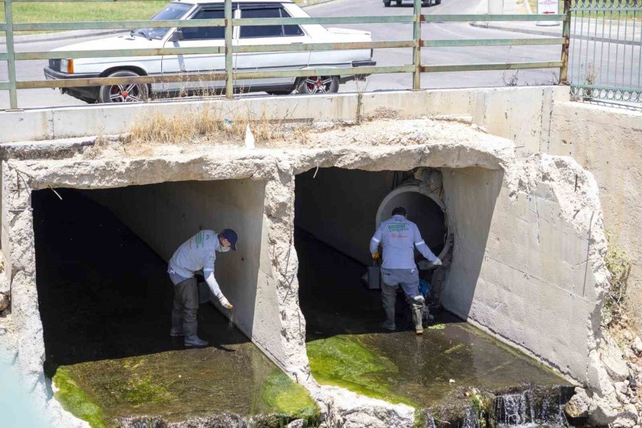 Mersin’de Yaz Boyunca Kesintisiz İlaçlama