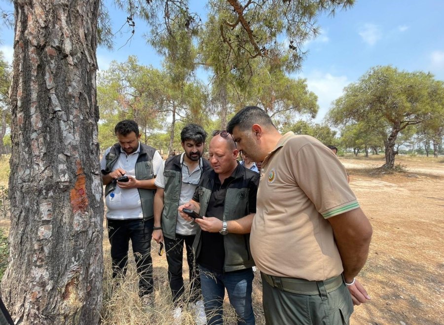 Erdemli Orman İşletmesinde ’yenilikçi Barkod Sistemi Eğitimi’ Verildi