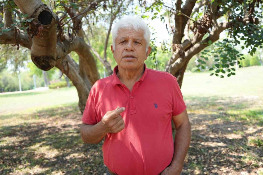 Profesörden Denizlerin Akciğerleri ’deniz Çayırı’ Uyarısı