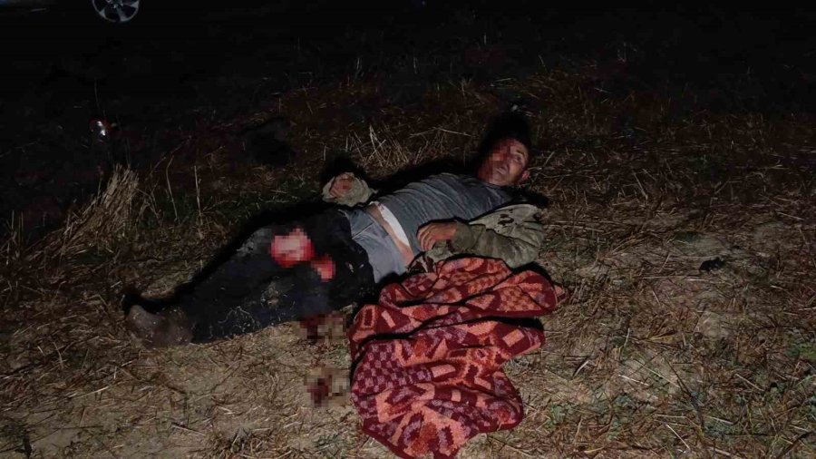 Aslanın Saldırısına Uğrayan Adam: "sivrisinekten Isırmasın Diye Üstümü Örttüm, Aslan Isırdı"