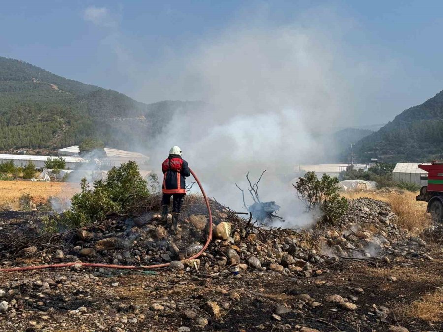 Yangın Ormana Sıçramadan Söndürüldü