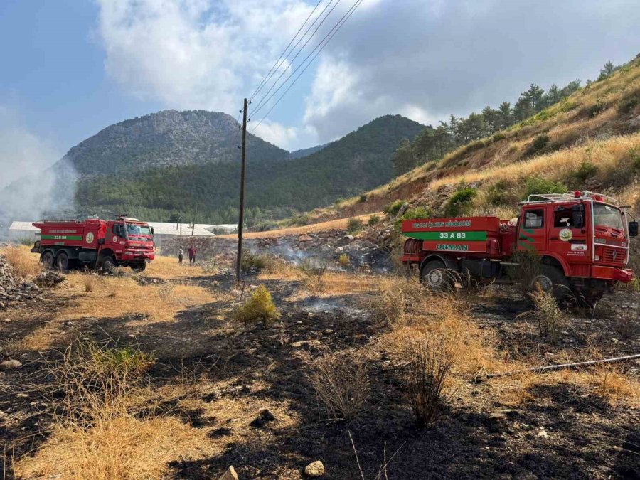 Yangın Ormana Sıçramadan Söndürüldü