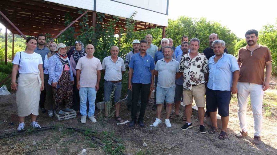 Mersin’de Arazi Dolandırıcılığı İddiası: Köylüler Organize Çetenin Hedefi Oldu