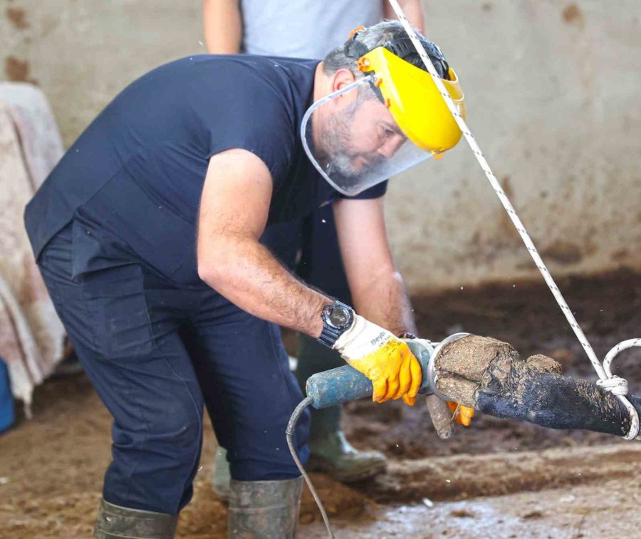 Büyükşehir’den Kırsaldaki Besicilere Veterinerlik Hizmeti