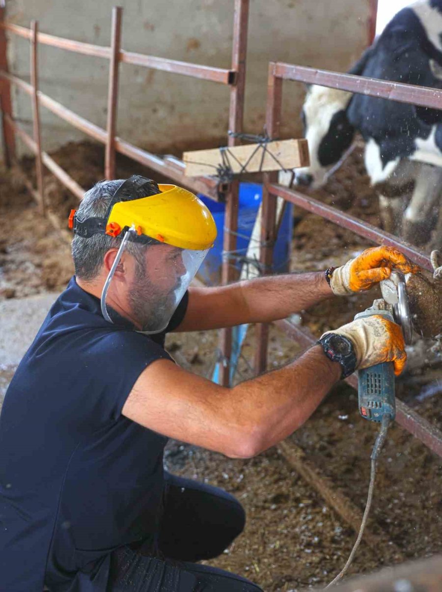 Büyükşehir’den Kırsaldaki Besicilere Veterinerlik Hizmeti