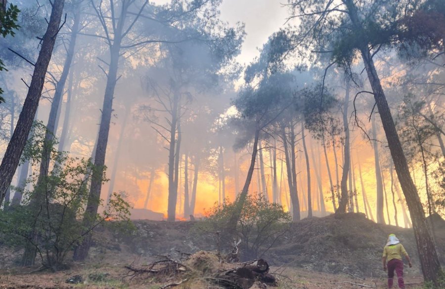 Mersin’de Kasten Orman Yangını Çıkaran Şüpheli Jandarma Ekiplerince Yakalandı
