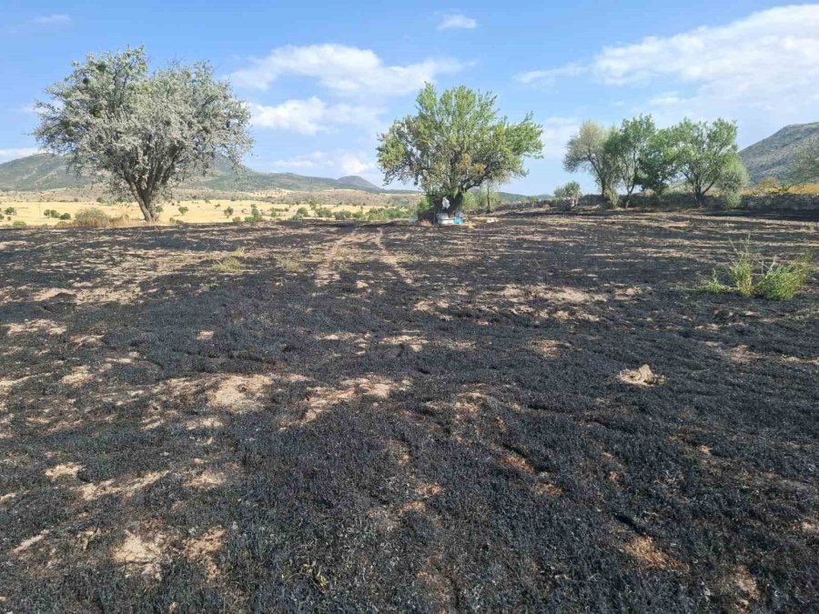 Beyşehir’de Arazi Ve Ahır Yangını Korkuttu