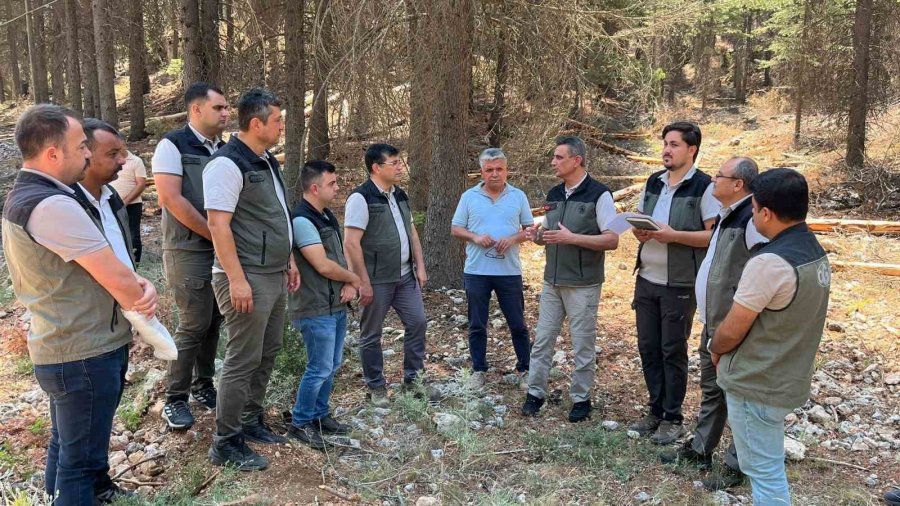 Mersin Orman Bölge Müdürü Gülnar’daki Sahalarda İncelemelerde Bulundu