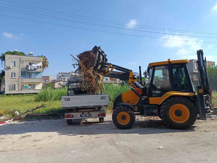 Akdeniz’de Moloz Ve Yabani Ot Temizliği Sürüyor