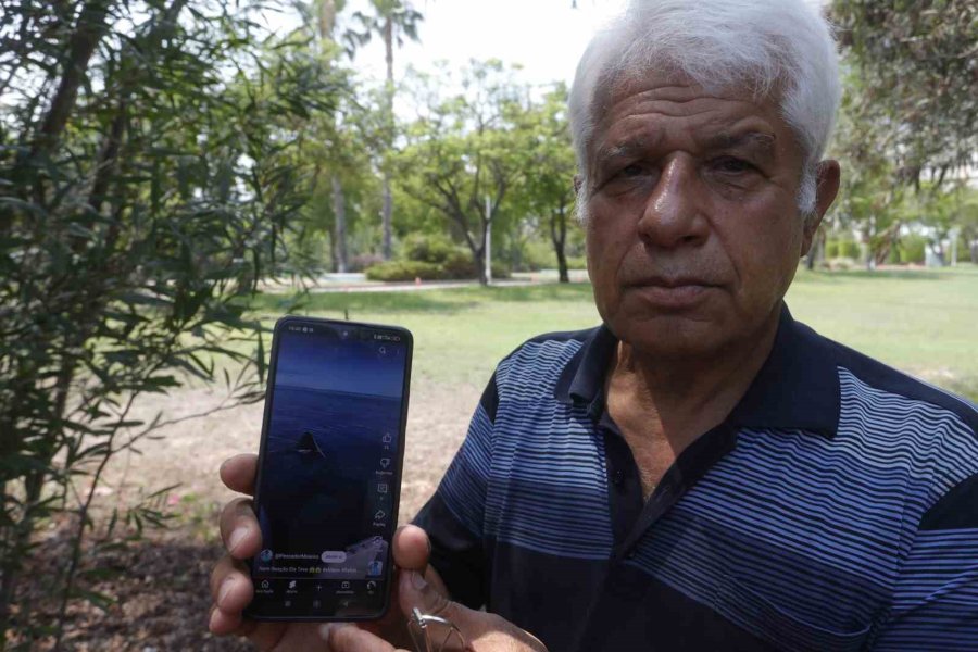 Kemer Sahilinde Asılsız Dev Köpekbalığı Paylaşımına Suç Duyurusu