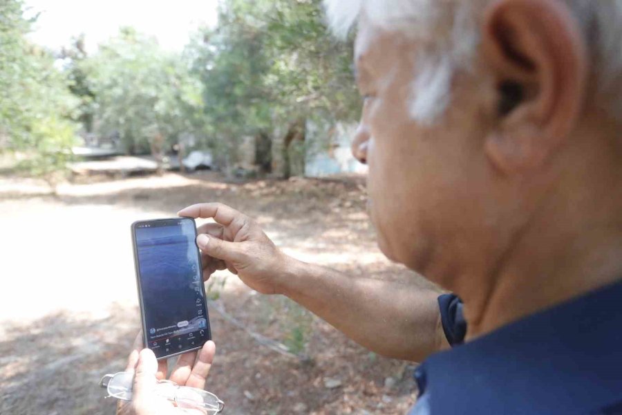 Kemer Sahilinde Asılsız Dev Köpekbalığı Paylaşımına Suç Duyurusu