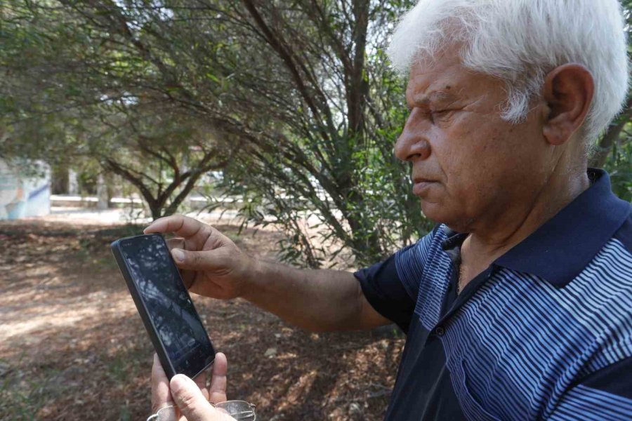 Kemer Sahilinde Asılsız Dev Köpekbalığı Paylaşımına Suç Duyurusu