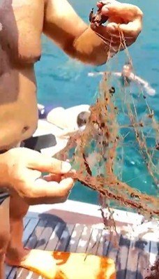 Alanya’da Ağa Takılan Yengeçler Kurtarıldı