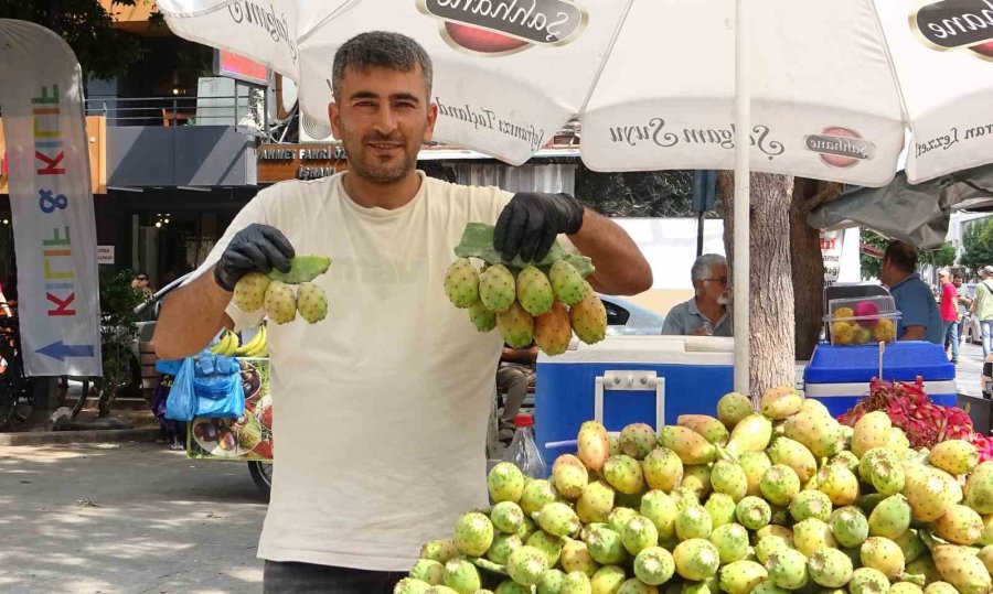 Mersin’de Doğada Kendiliğinden Yetişen Dikenli İncir Seyyar Tezgahlarda