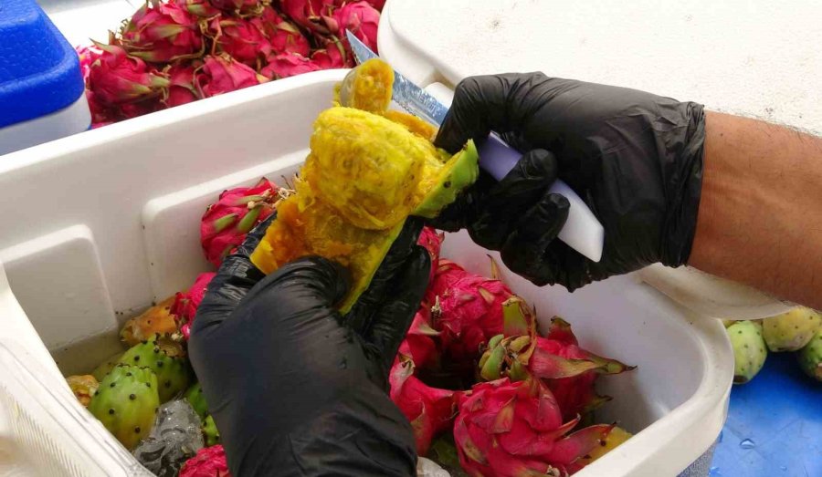 Mersin’de Doğada Kendiliğinden Yetişen Dikenli İncir Seyyar Tezgahlarda